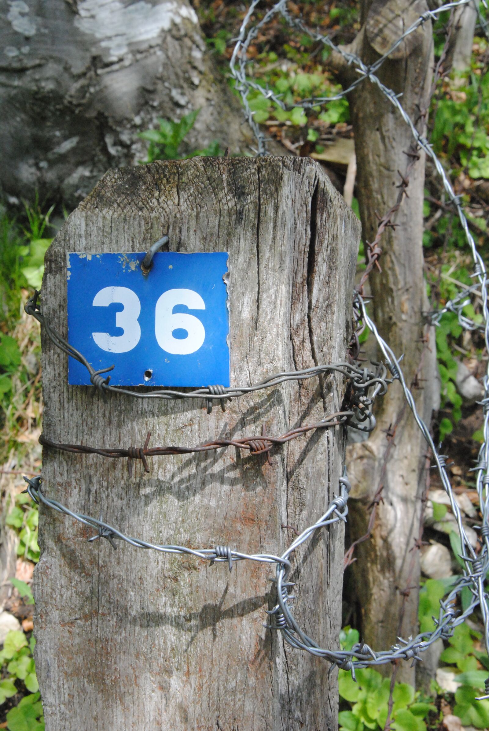 Nikon D3000 sample photo. House number, number, digit photography