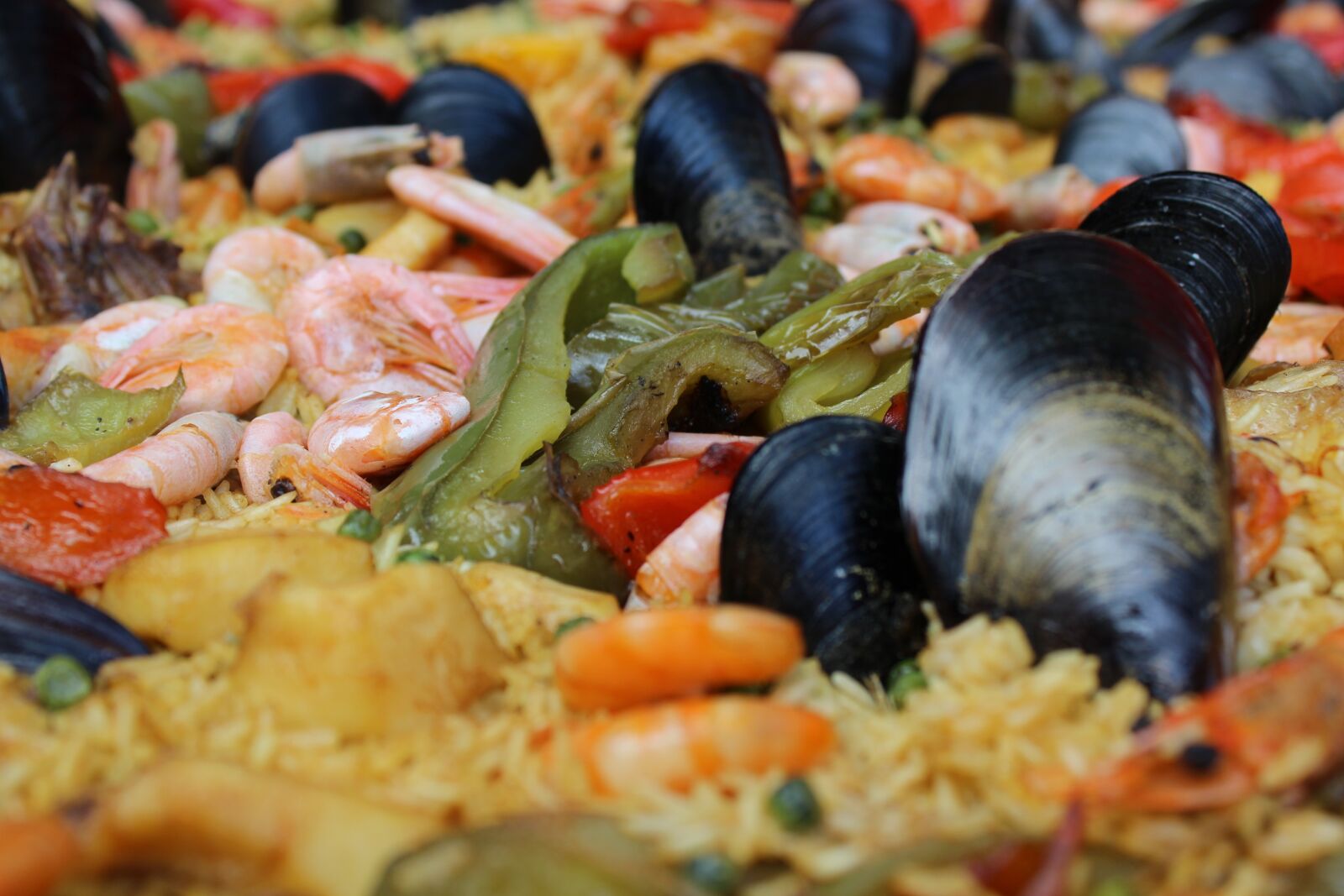 Canon EOS 1200D (EOS Rebel T5 / EOS Kiss X70 / EOS Hi) sample photo. Paella, spain, flat photography