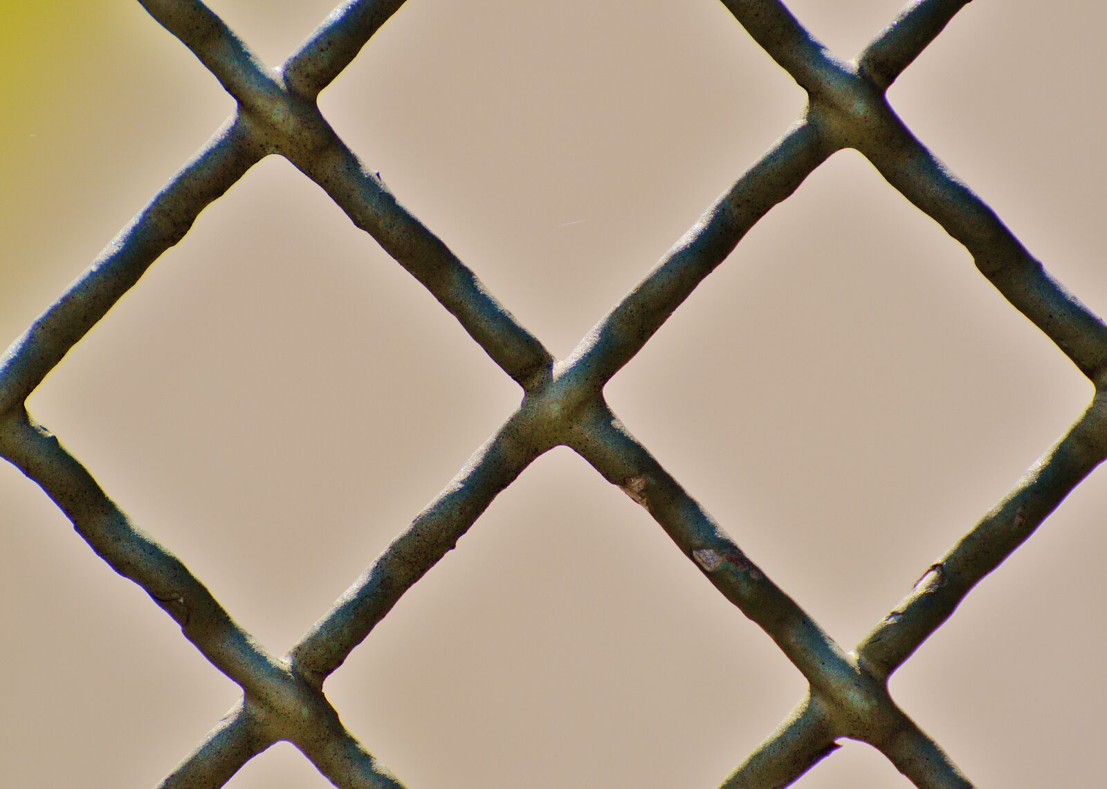 Nikon D3200 sample photo. Fence, iron, metal photography