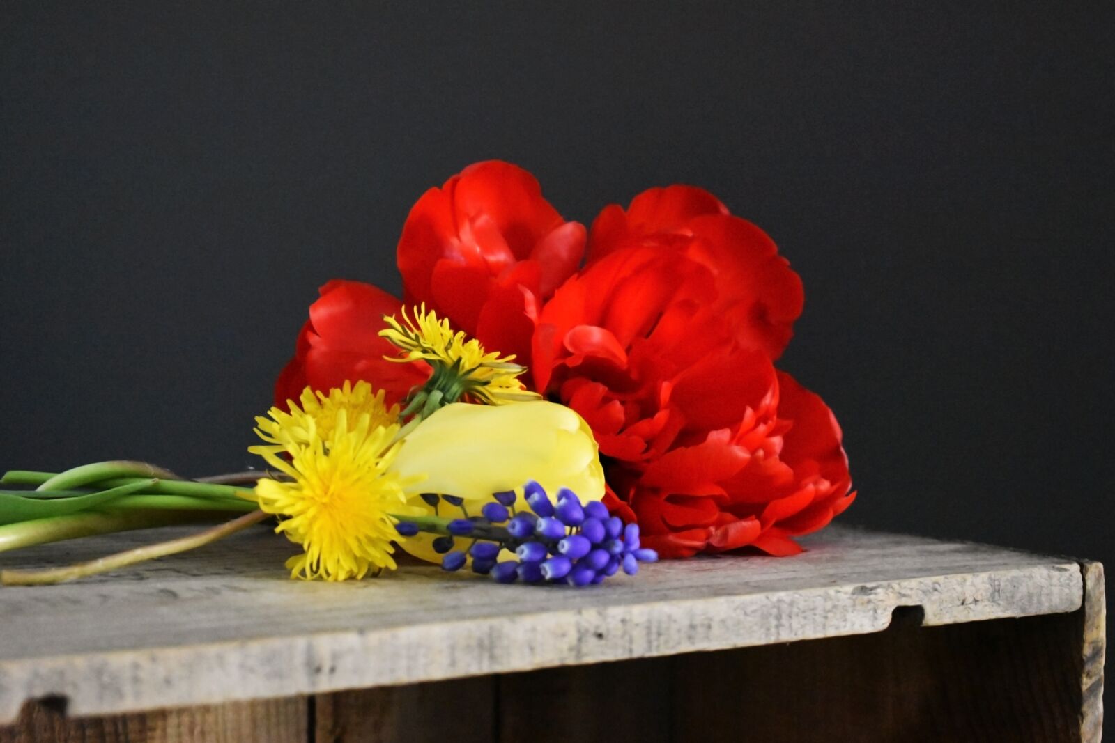 Nikon D3400 sample photo. Flowers, tulips, bunch of photography