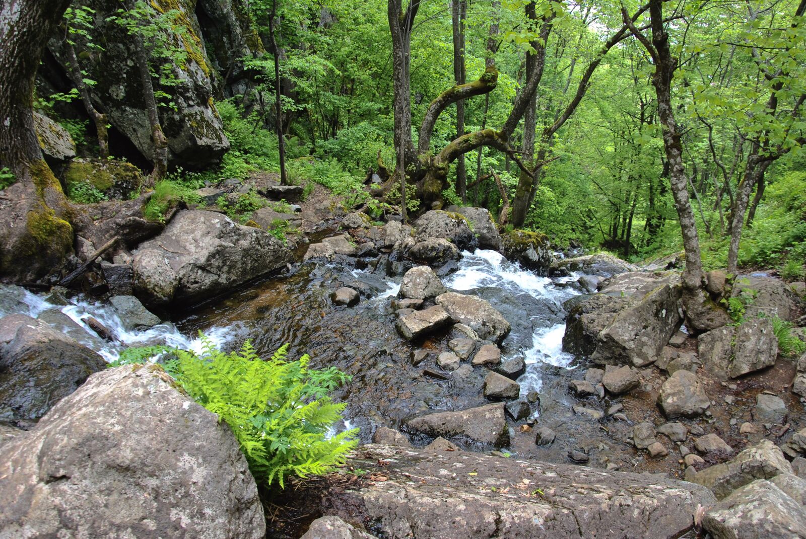 Nikon D3000 sample photo. Forest, green, waterfall photography