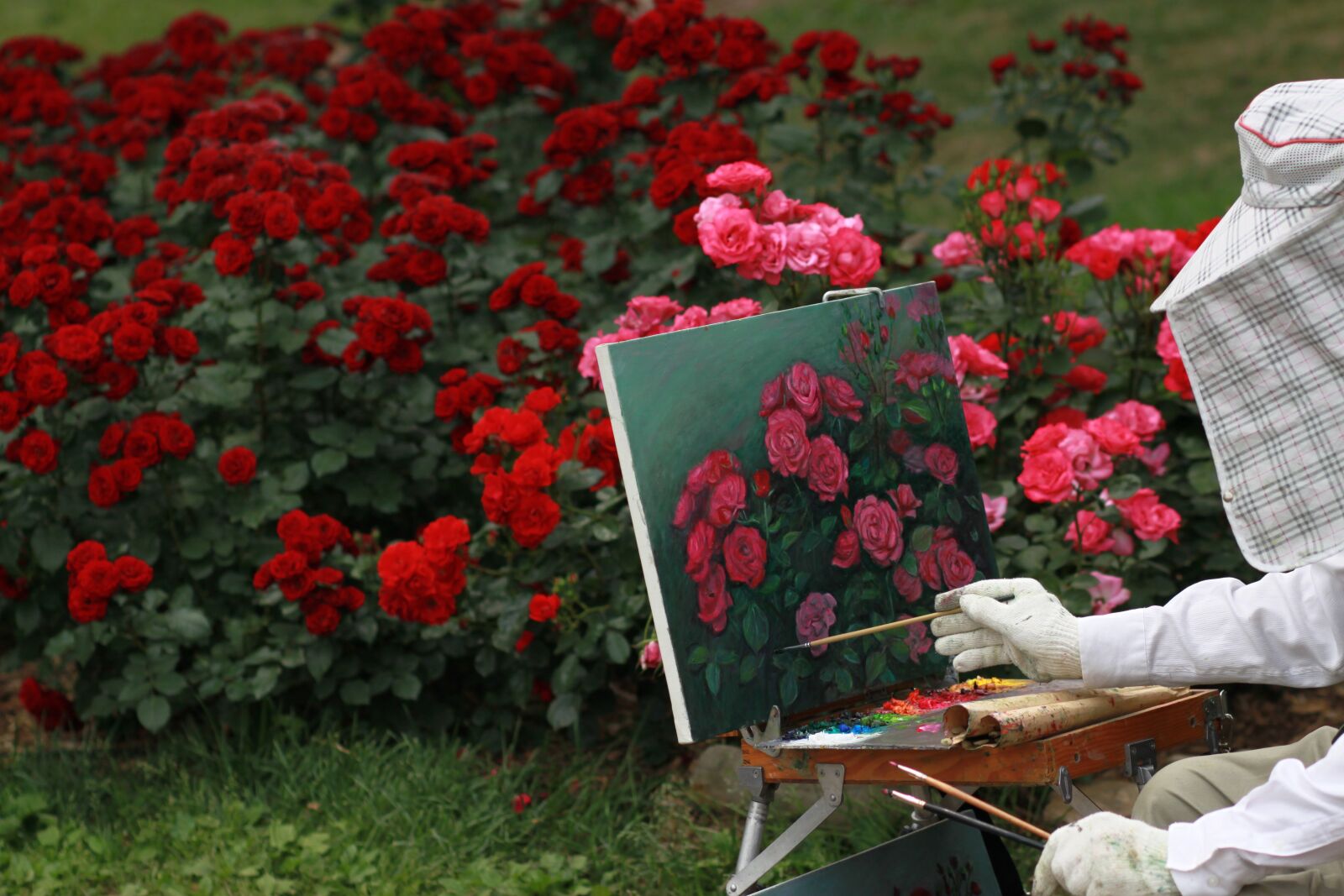 Canon EOS 500D (EOS Rebel T1i / EOS Kiss X3) sample photo. Rose, flowers, red rose photography