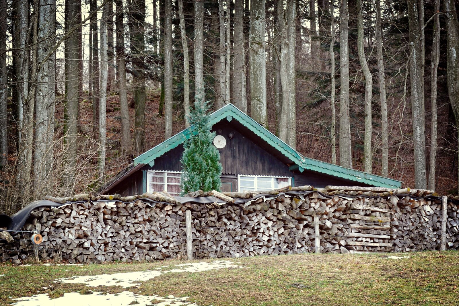 Nikon D7100 sample photo. Hut, forest, woodhouse photography