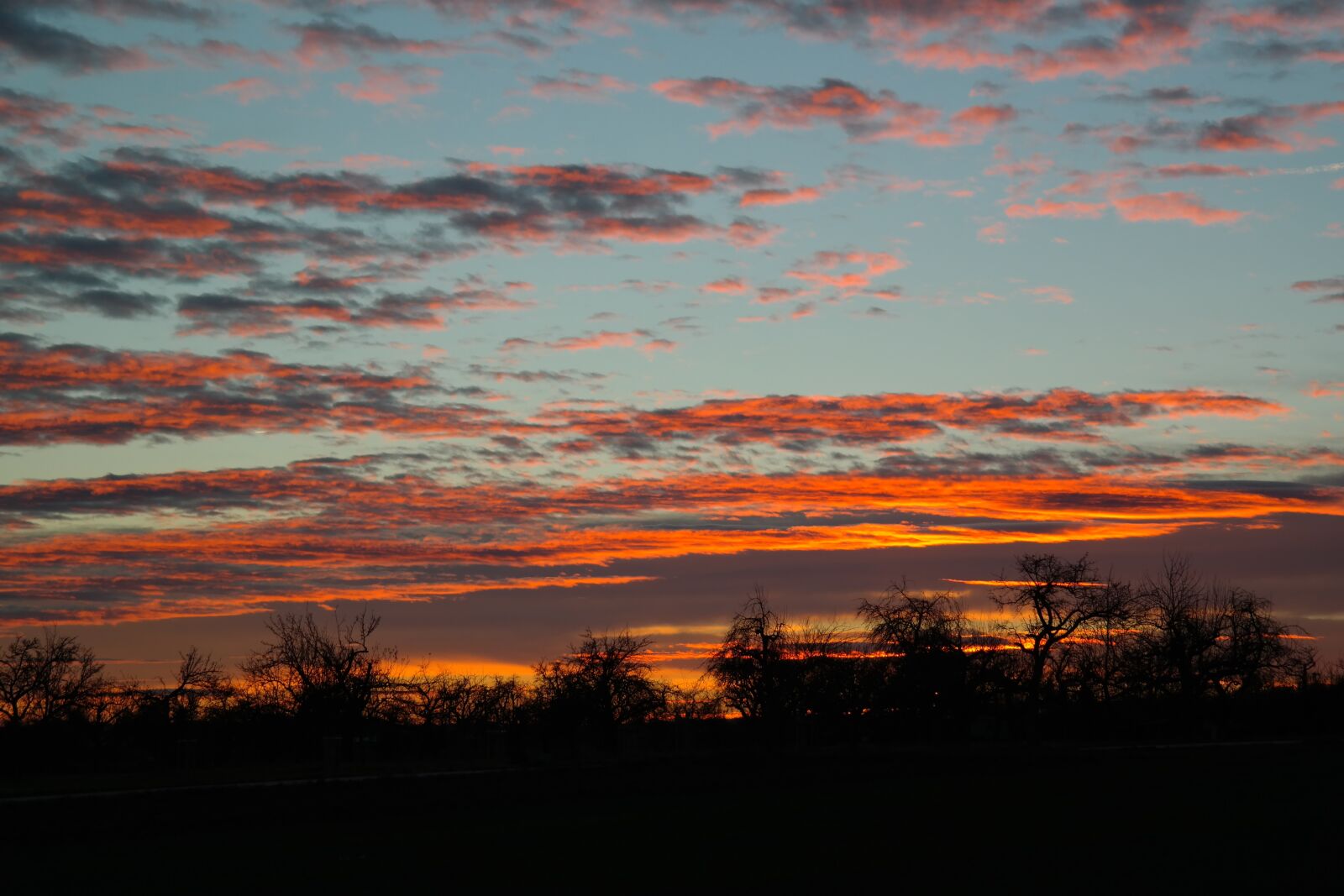 Samsung NX300 sample photo. Sunset, swabian alb, orchards photography