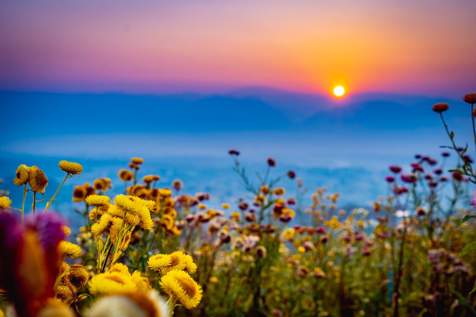 Sony a7 II + Sony Vario Tessar T* FE 24-70mm F4 ZA OSS sample photo. Thailand, sunrise, pai photography