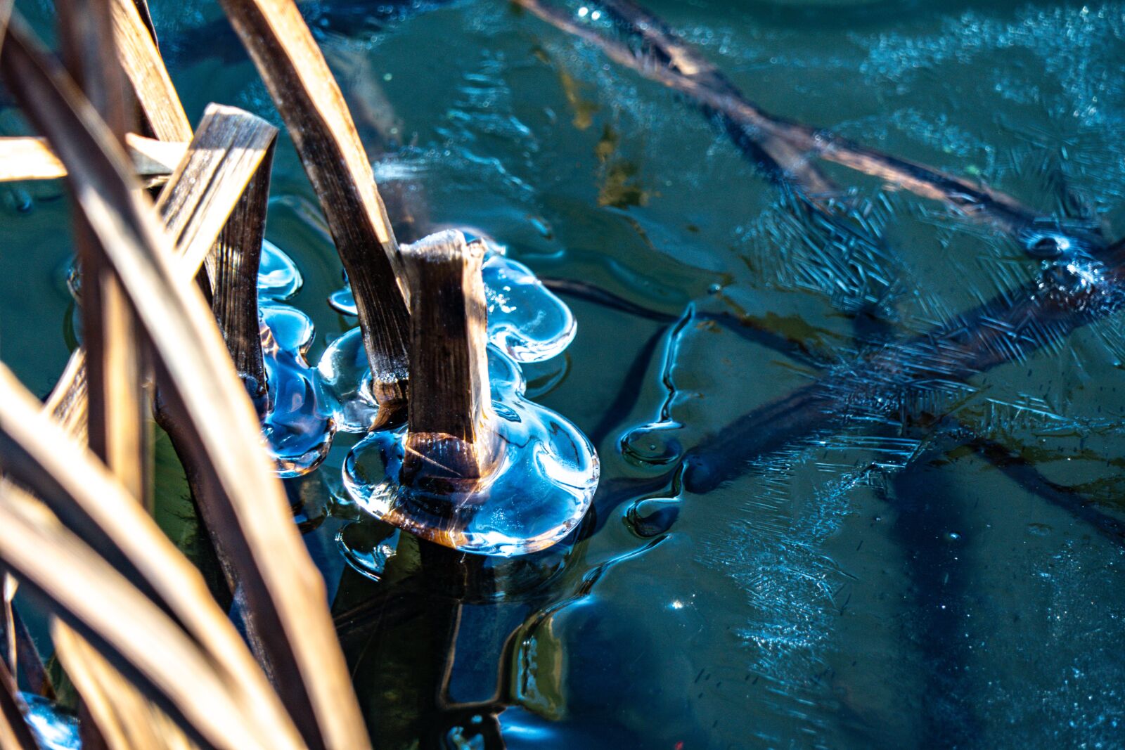 Panasonic Lumix DMC-FZ2500 (Lumix DMC-FZ2000) sample photo. Water, ice, cold photography