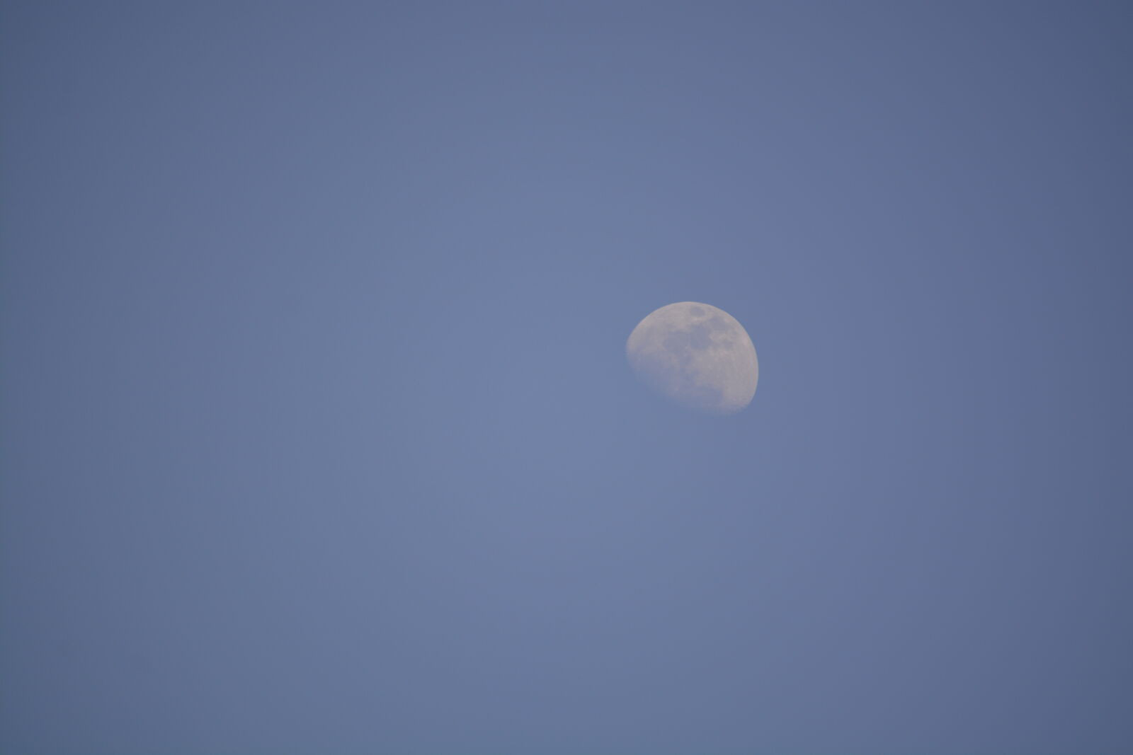 Nikon D7100 sample photo