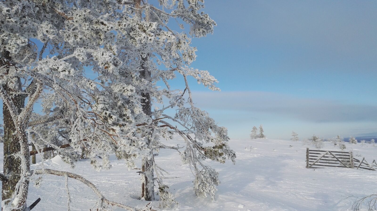 HUAWEI Honor 7 sample photo. Winter, levi, lapland photography