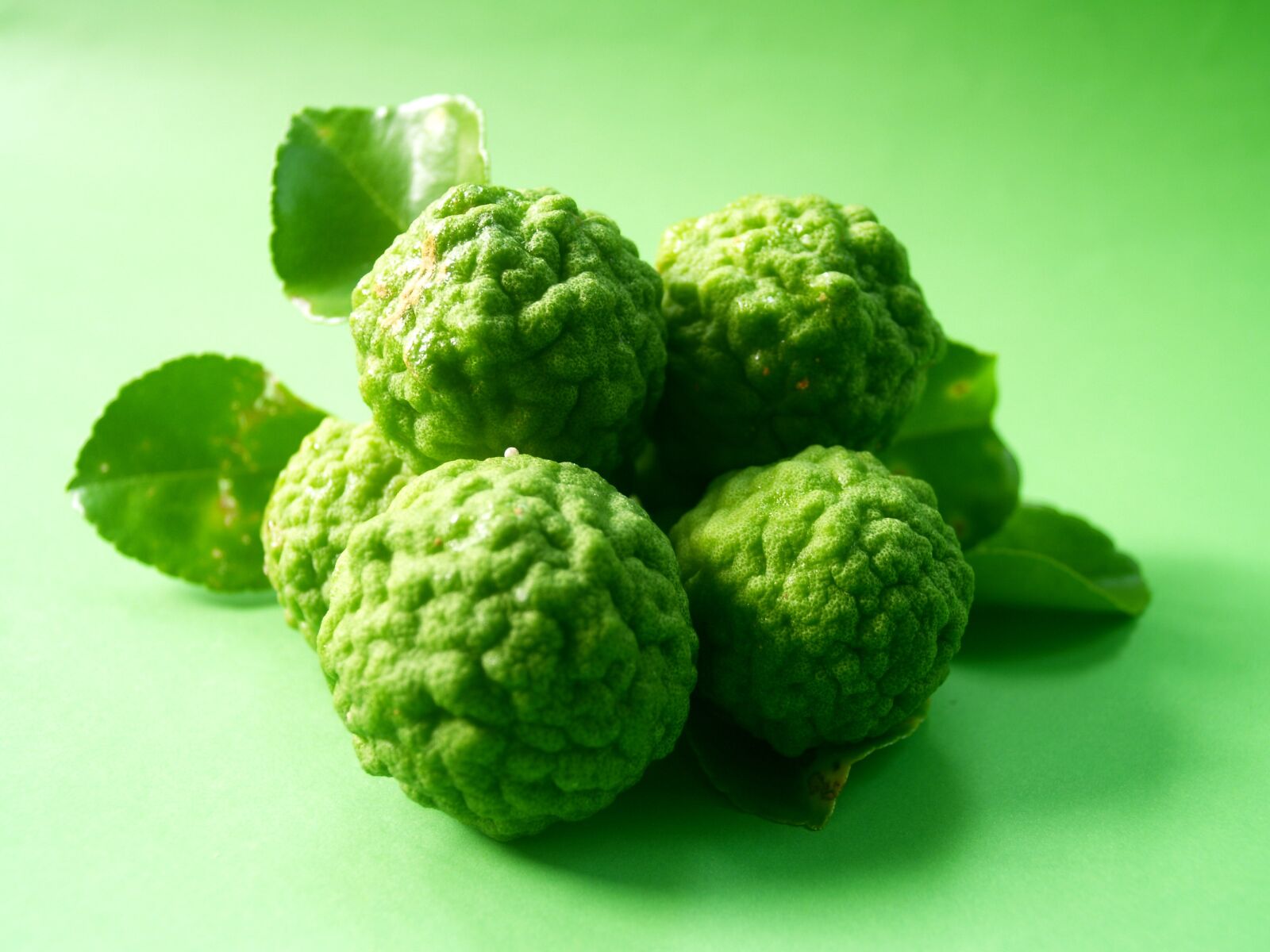 Olympus E-300 (EVOLT E-300) sample photo. Bergamot, fruit, leaf photography