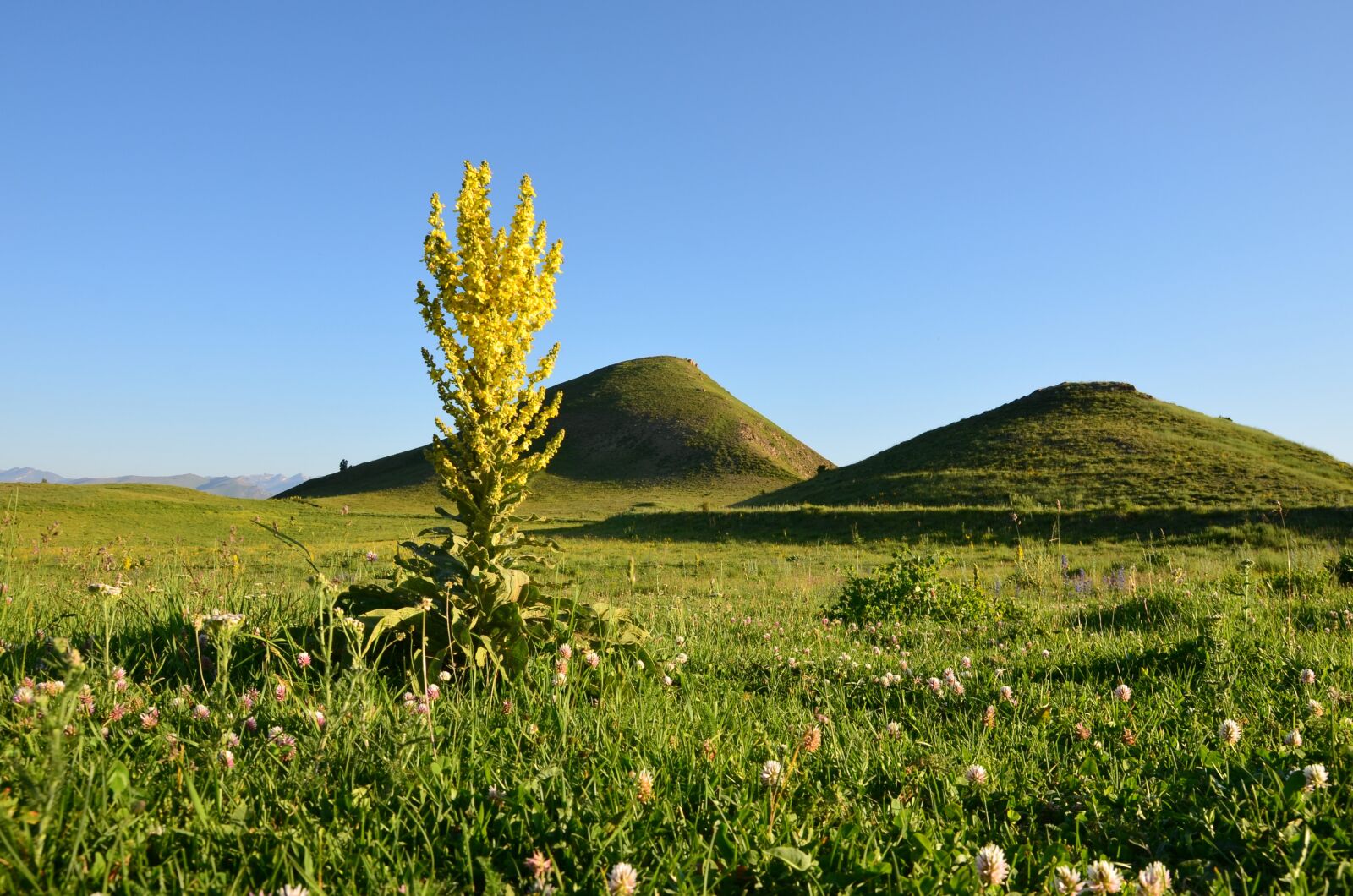 Nikon D5100 sample photo. Nature, landscape, landscapes nature photography