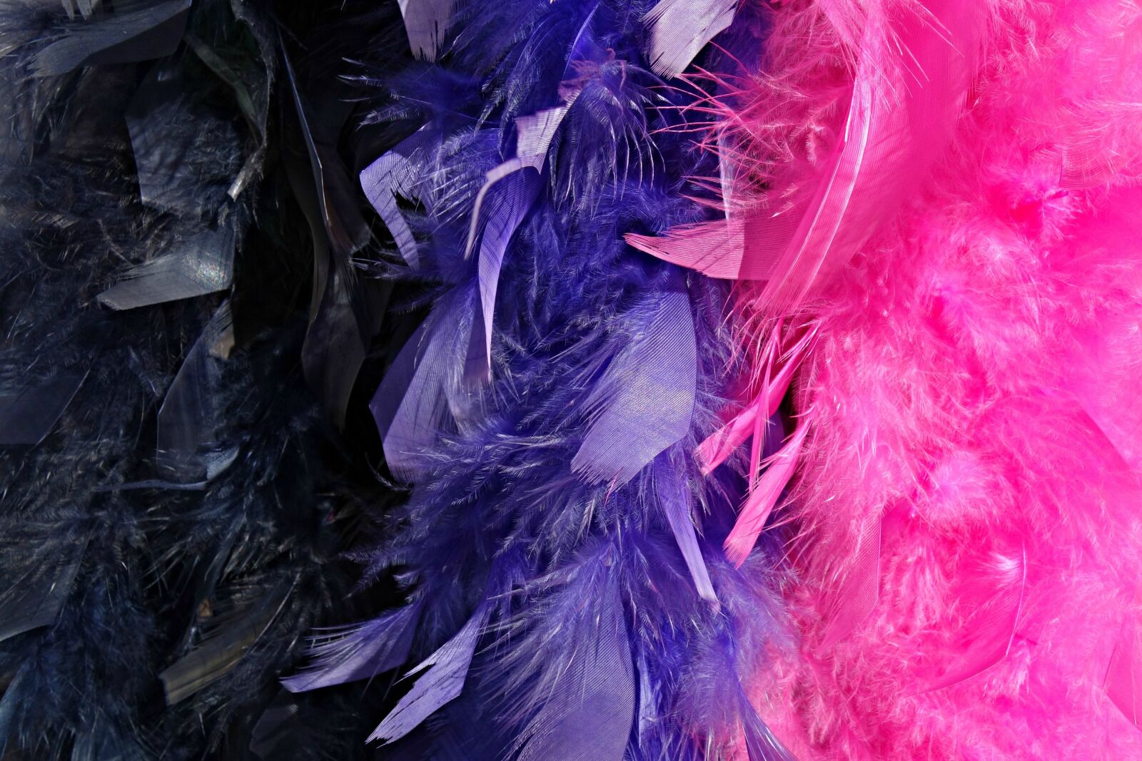 Sony Cyber-shot DSC-RX100 sample photo. Boa, feather boa, accessory photography