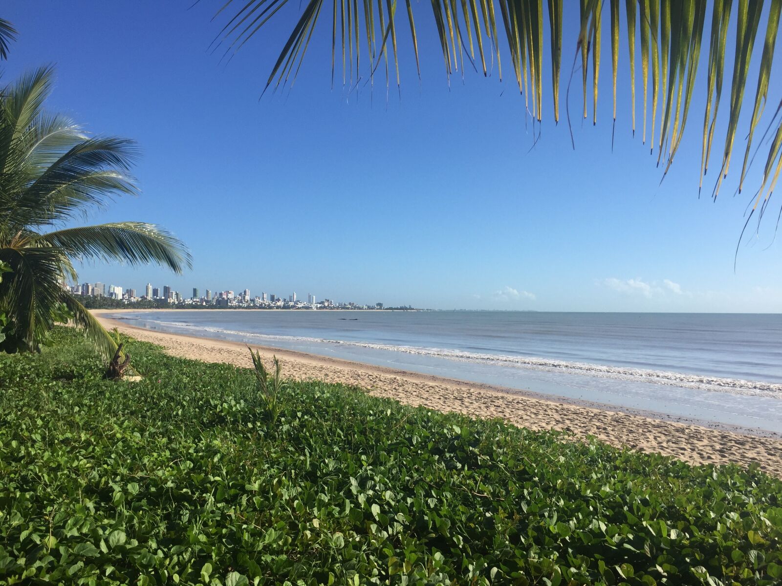 Apple iPhone 6 sample photo. Beach, recife, mar photography