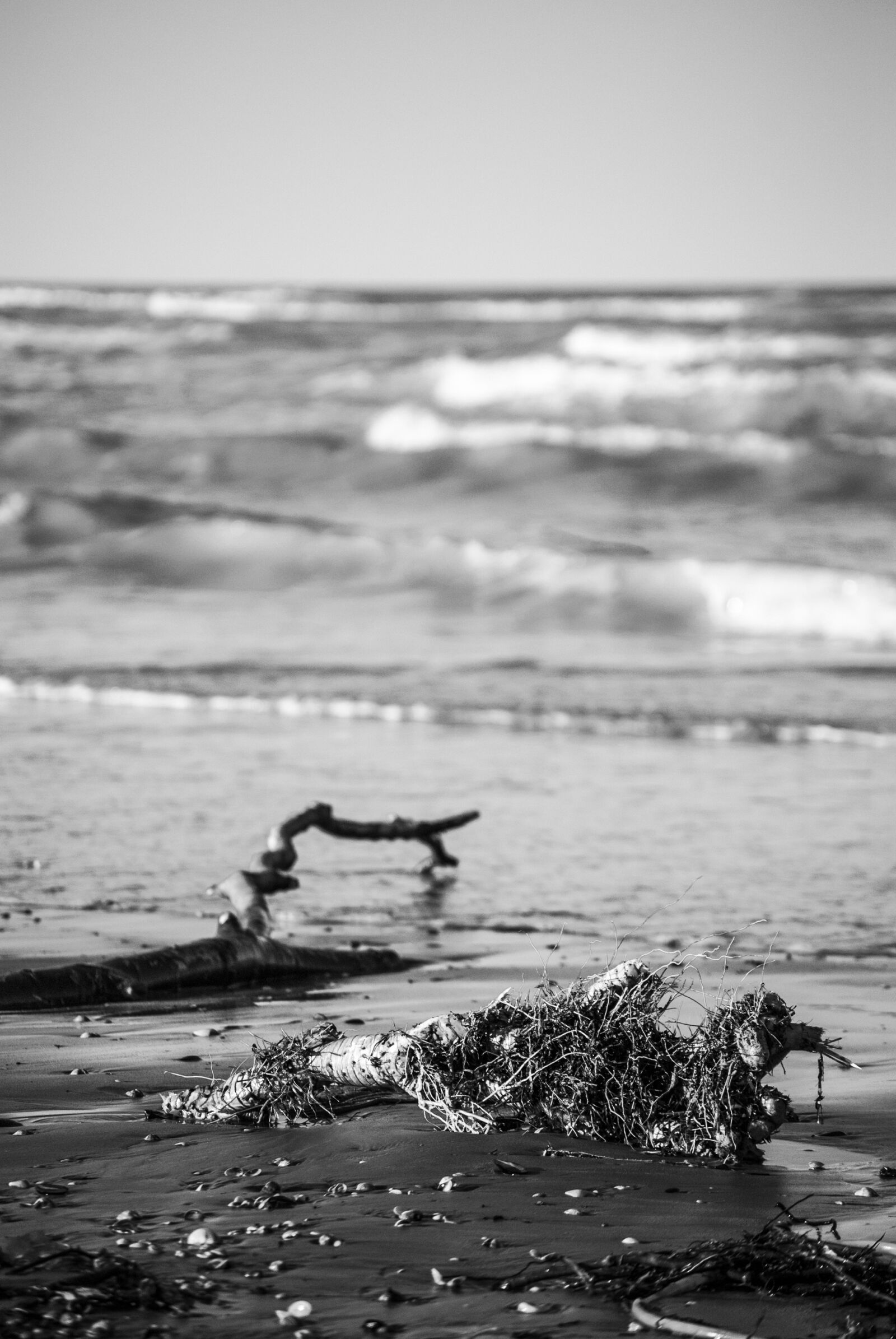 Nikon D60 sample photo. Beach, sea storm, waves photography