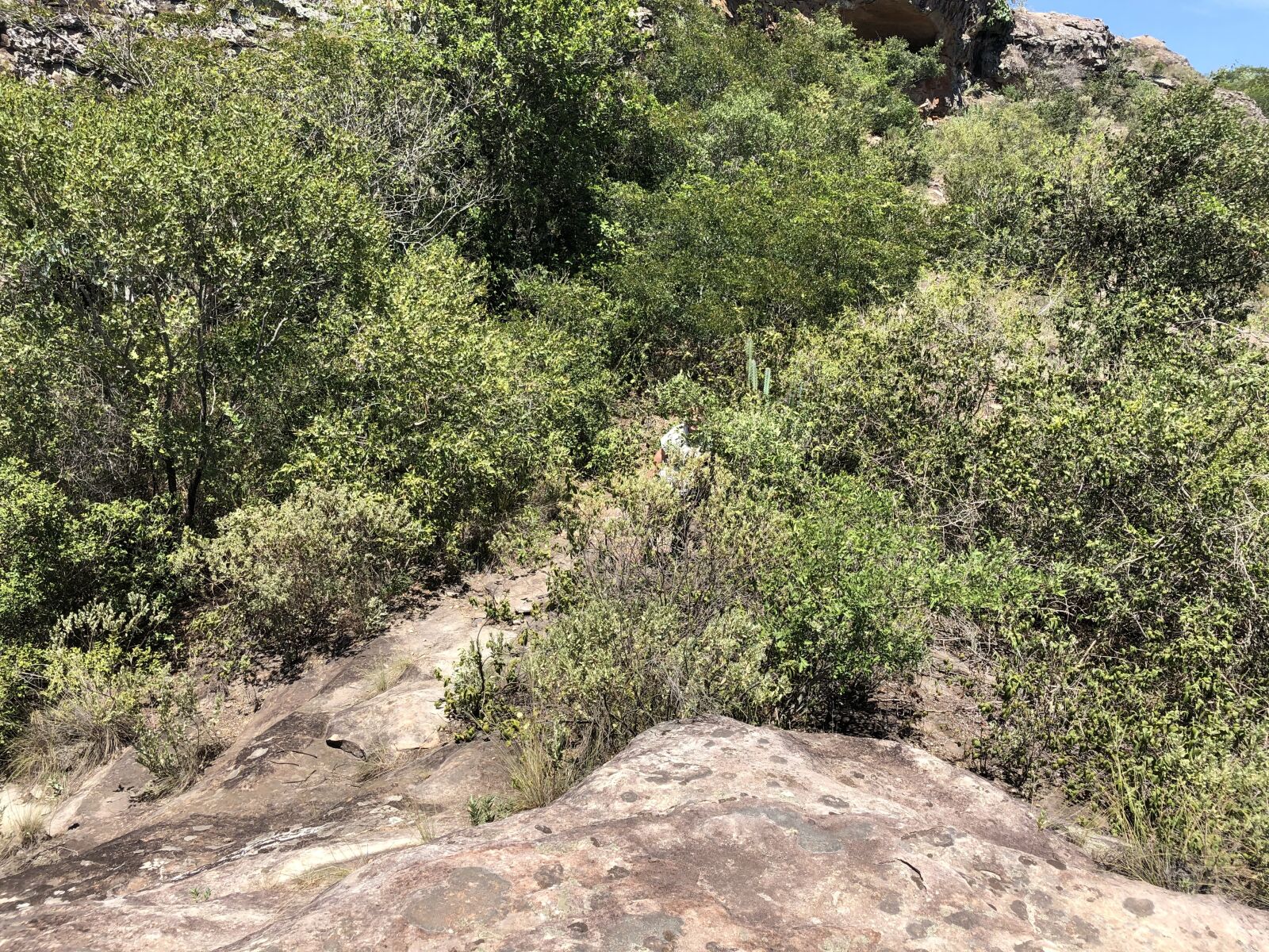 iPhone X back dual camera 4mm f/1.8 sample photo. Paraguay, tobati, cordillera photography