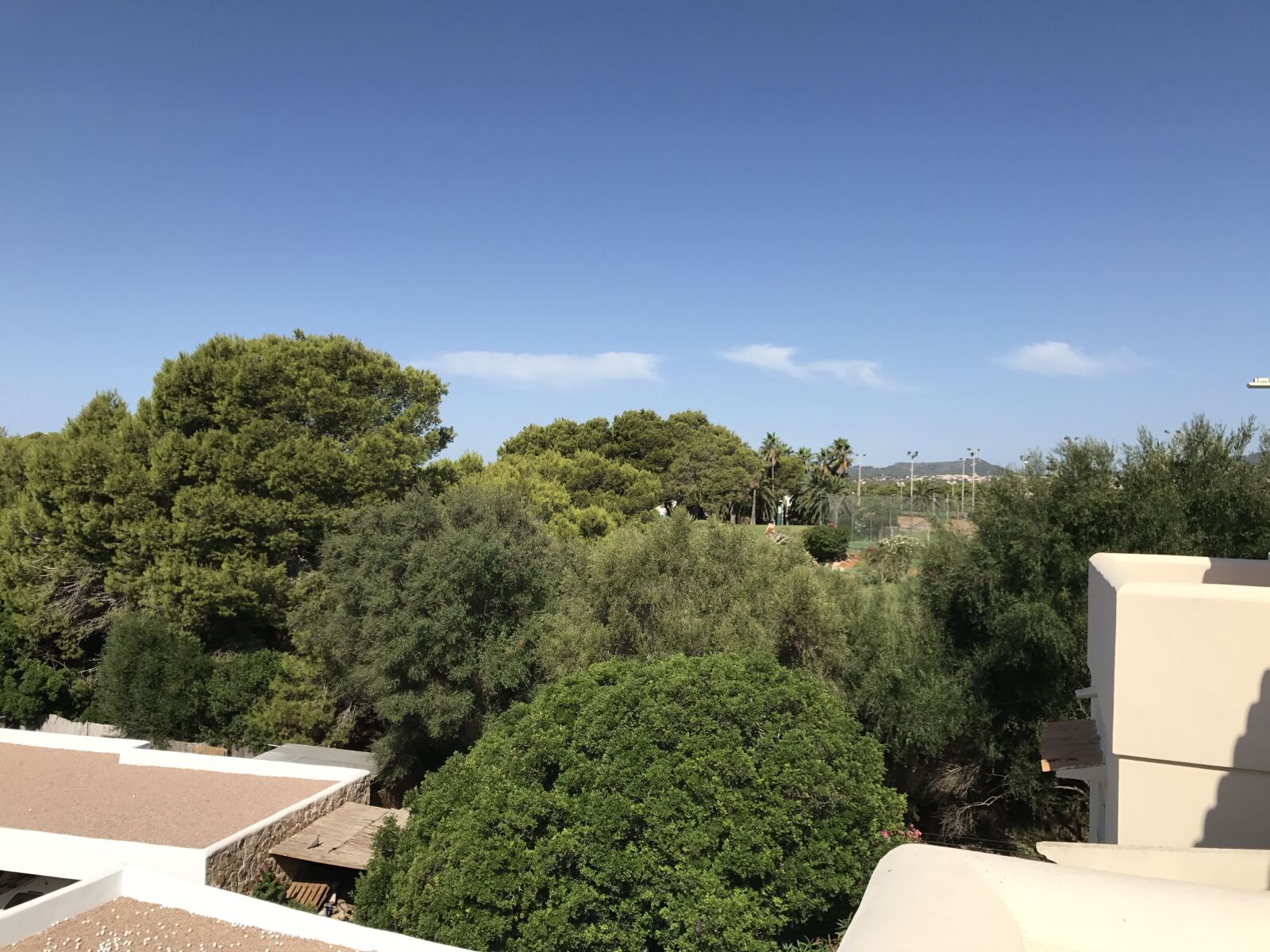 iPhone 7 back camera 3.99mm f/1.8 sample photo. Trees, spain, island photography