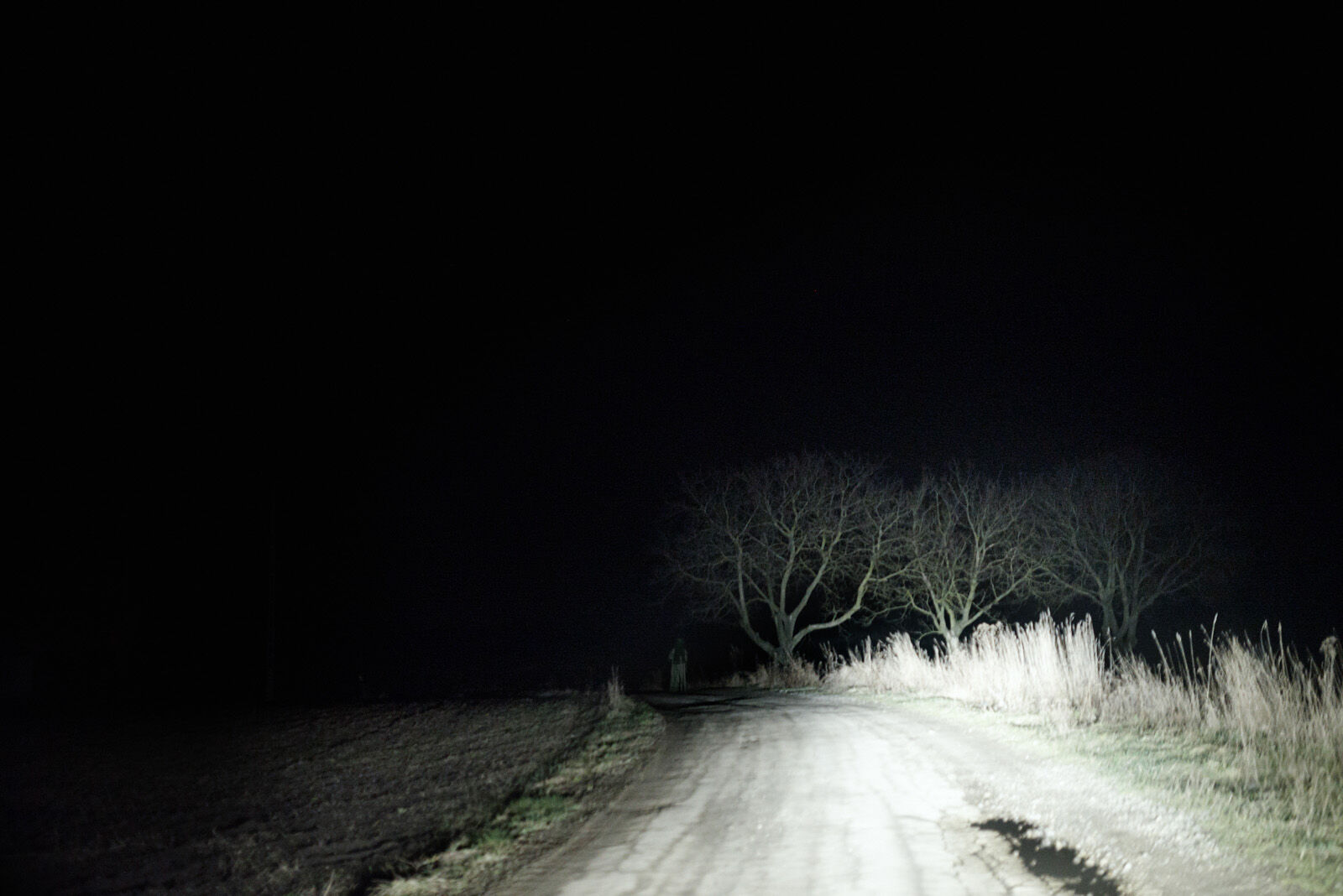 Nikon D610 sample photo. Car, light, lonely, road photography