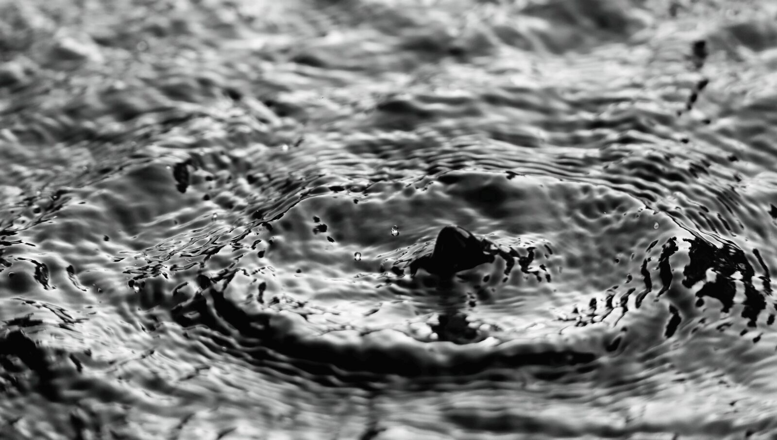 Canon EOS M50 (EOS Kiss M) sample photo. Water, drip, wave photography