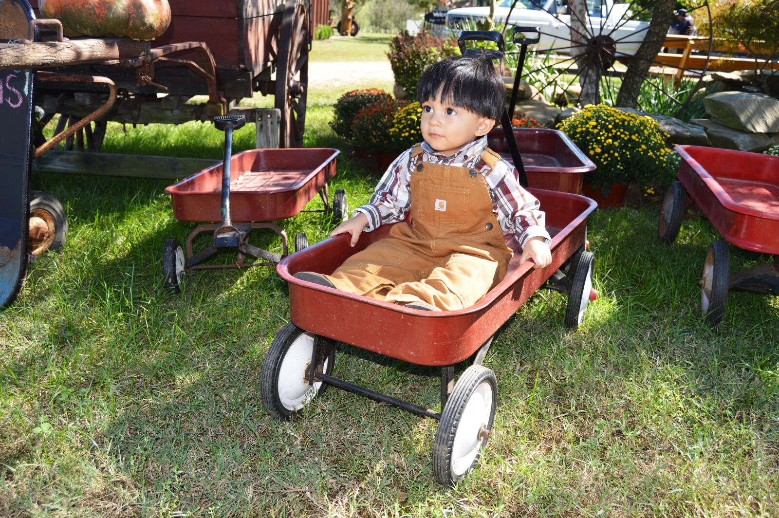 Nikon D3200 sample photo. Wagon, kid, happy photography