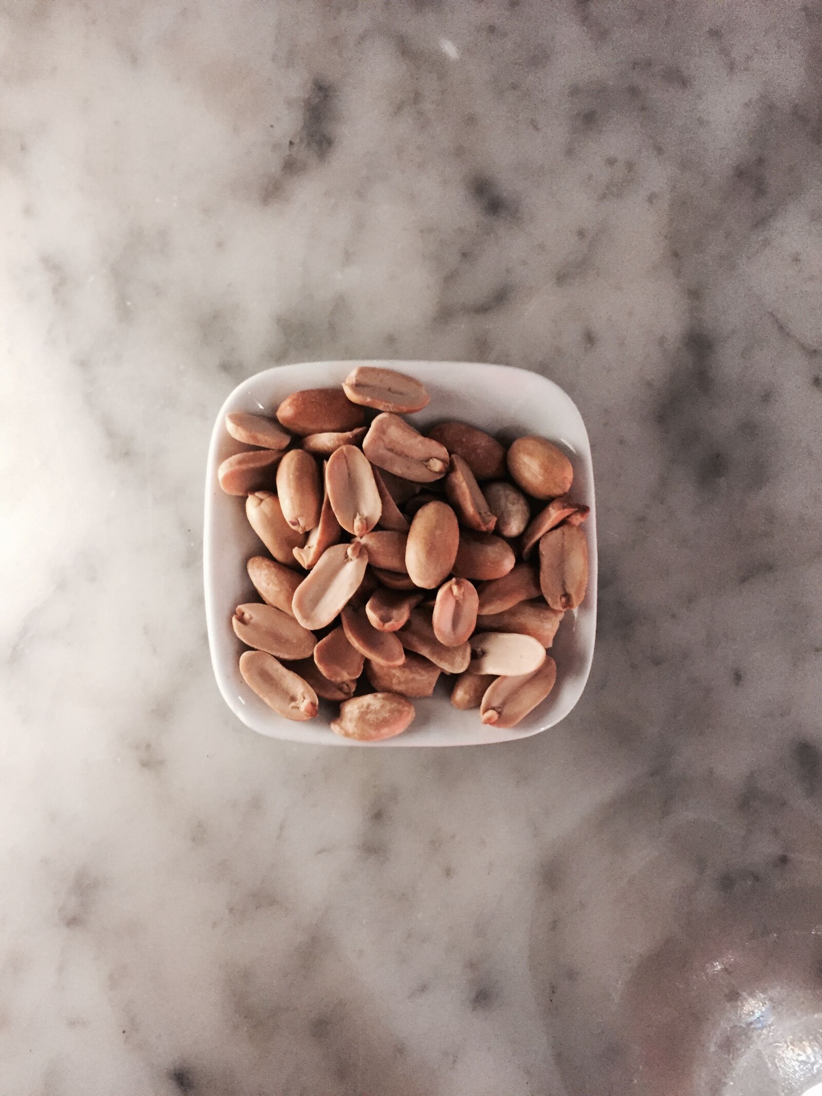 iPhone 6 back camera 4.15mm f/2.2 sample photo. Nuts photography