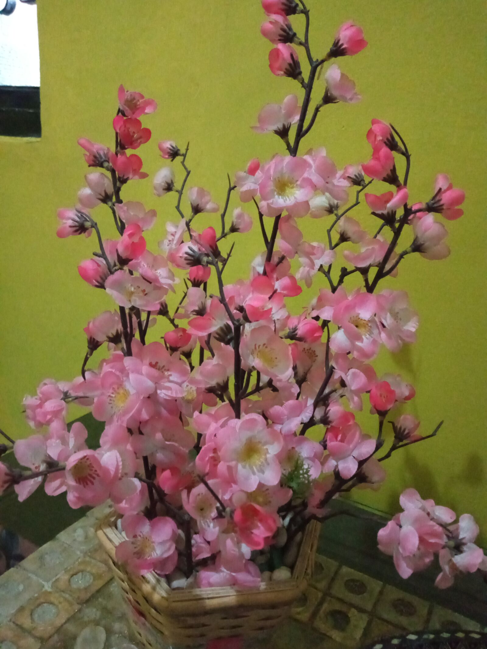 INFINIX MOBILITY LIMITED Infinix X650C sample photo. Imitatedflower, madebyme, beautiful photography