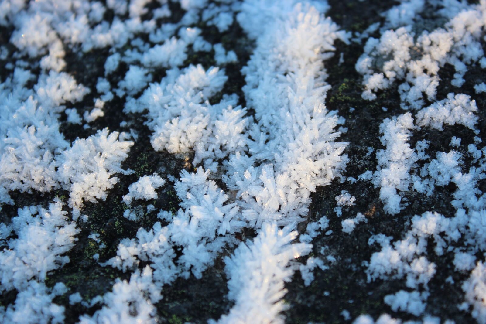Canon EOS 600D (Rebel EOS T3i / EOS Kiss X5) sample photo. Permafrost, close up, water photography