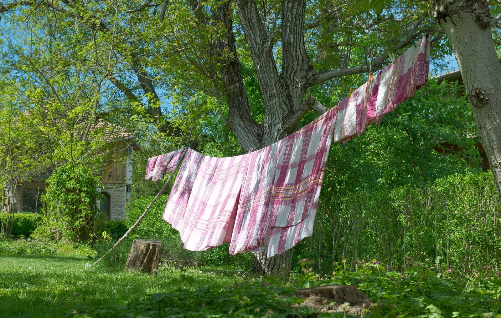 Nikon D800 sample photo. Laundry, spring, clothes photography