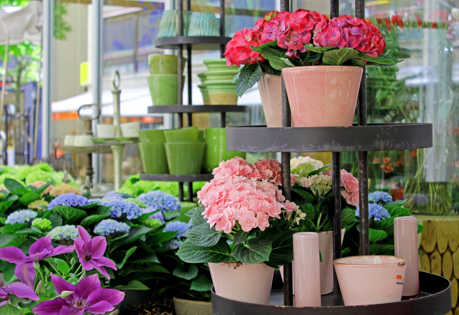 Canon EOS 1300D (EOS Rebel T6 / EOS Kiss X80) sample photo. Market, flowers, flower pots photography