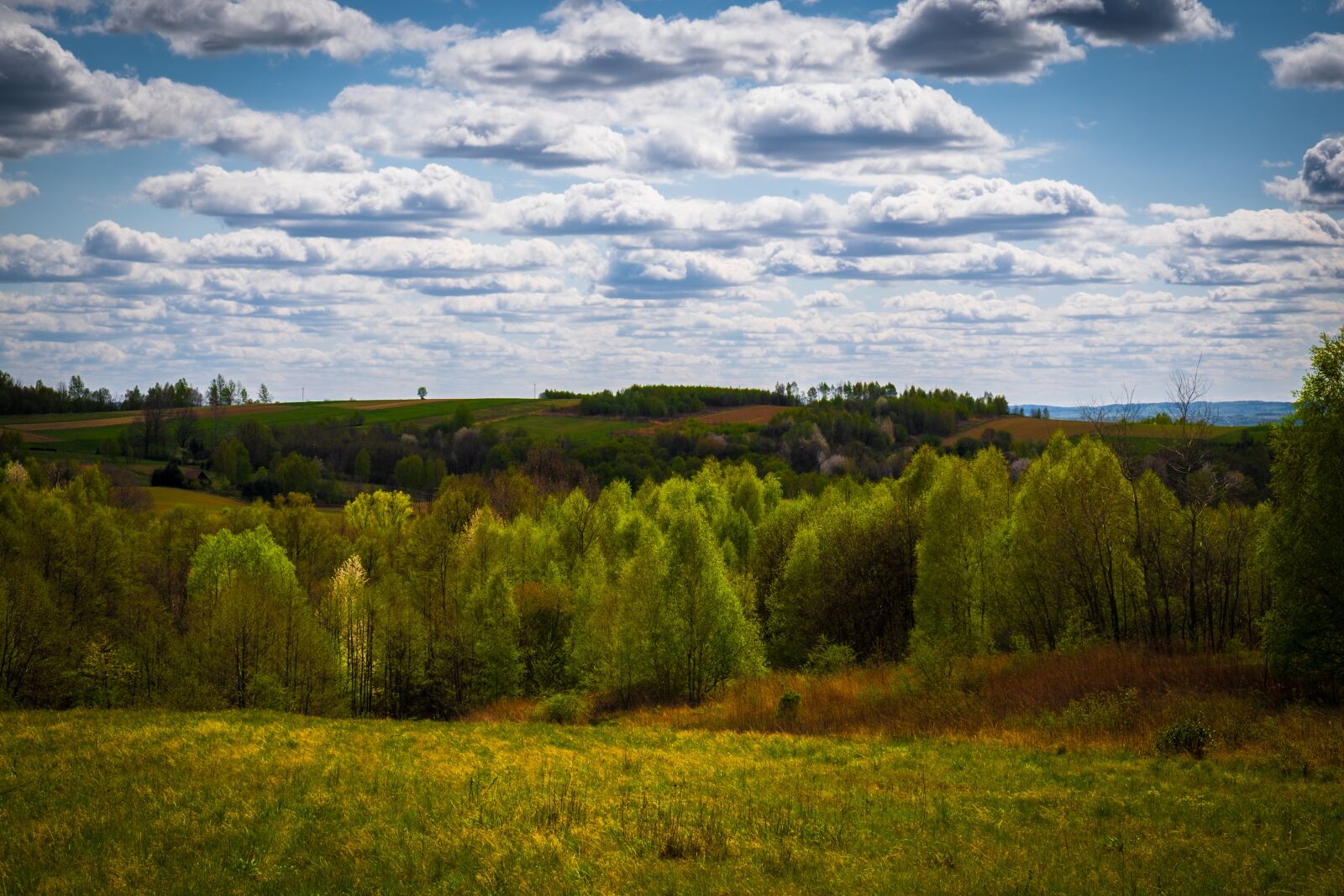 Fujifilm X-T10 sample photo. Landscape, poland, sky photography