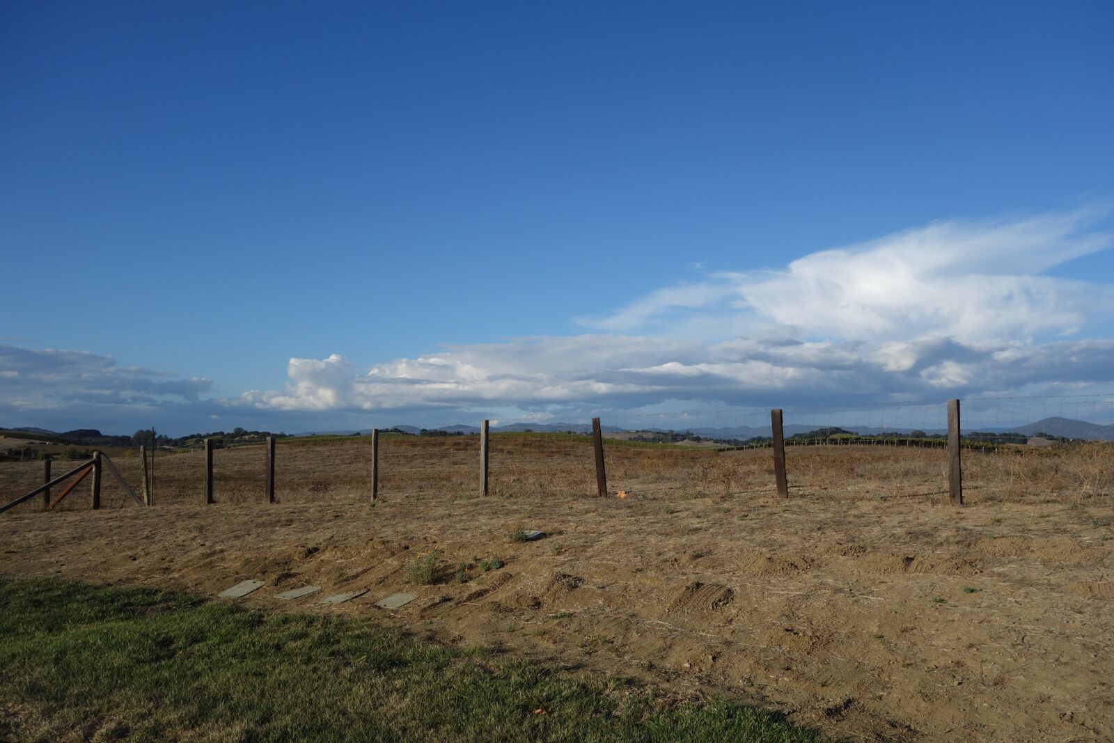Sony Cyber-shot DSC-RX100 sample photo. Napa, wine country, sky photography
