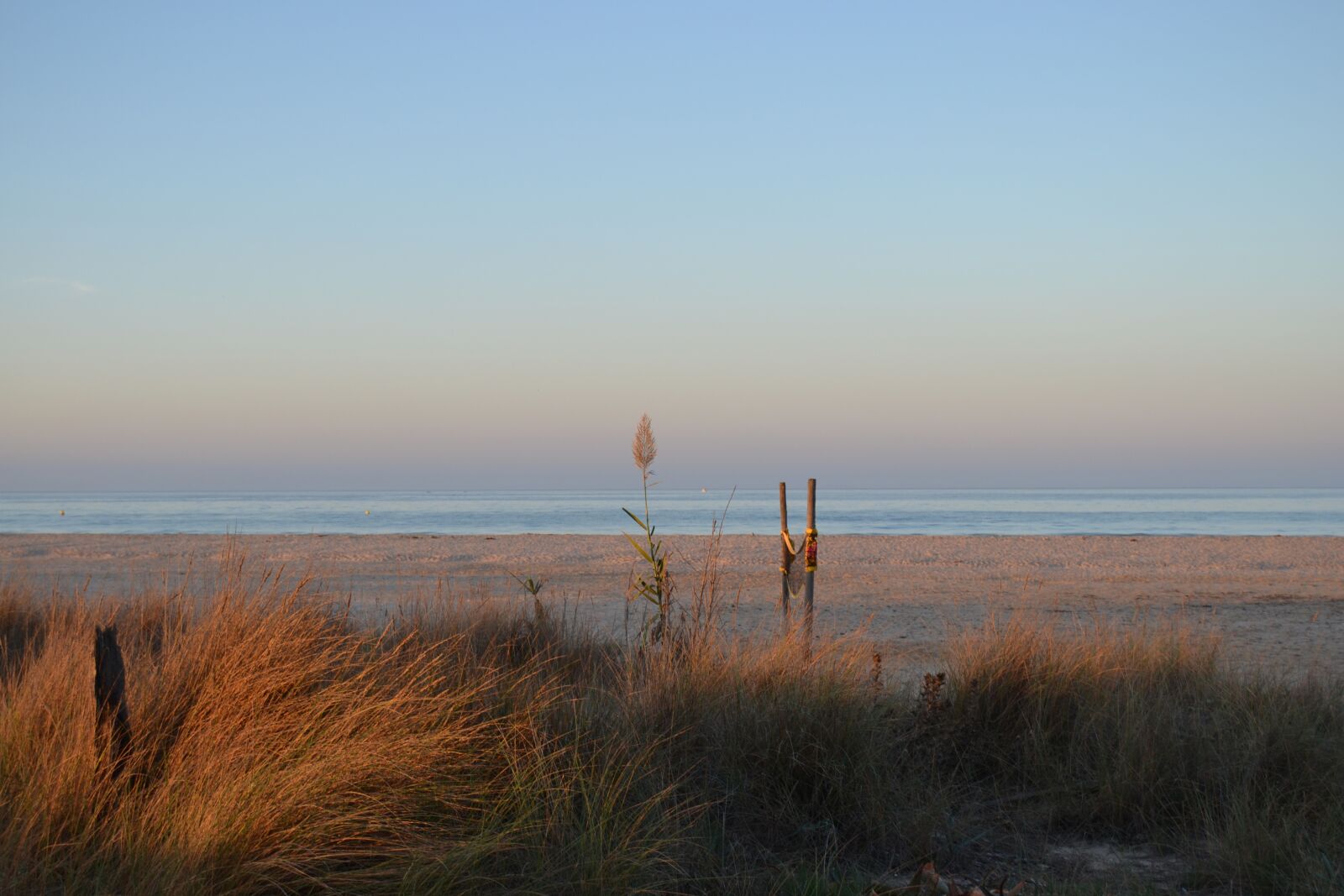 Nikon D3100 sample photo. Horizon, sea, beach photography