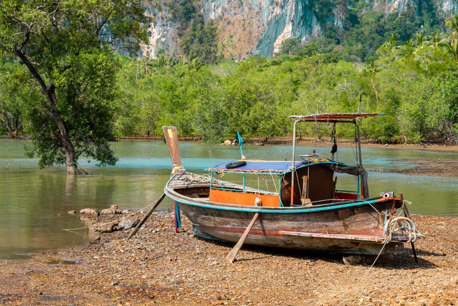 Nikon D5600 sample photo. Boat, trees, bank photography