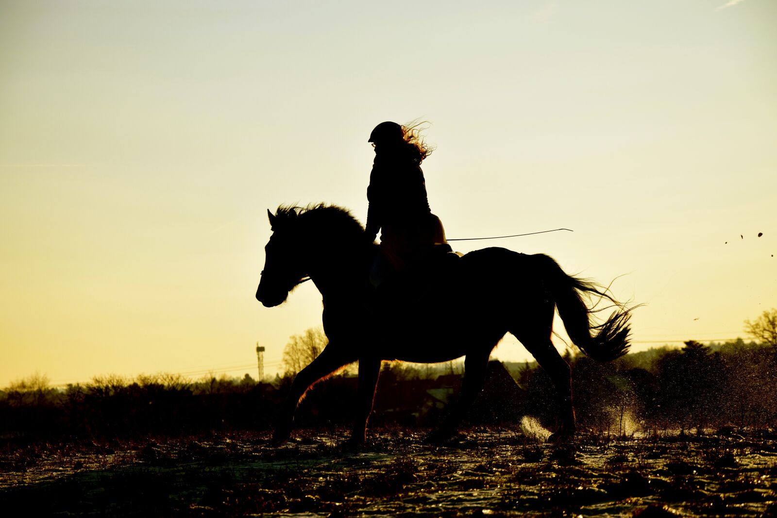 Nikon D3300 sample photo. Horse, sunset, silhouette photography
