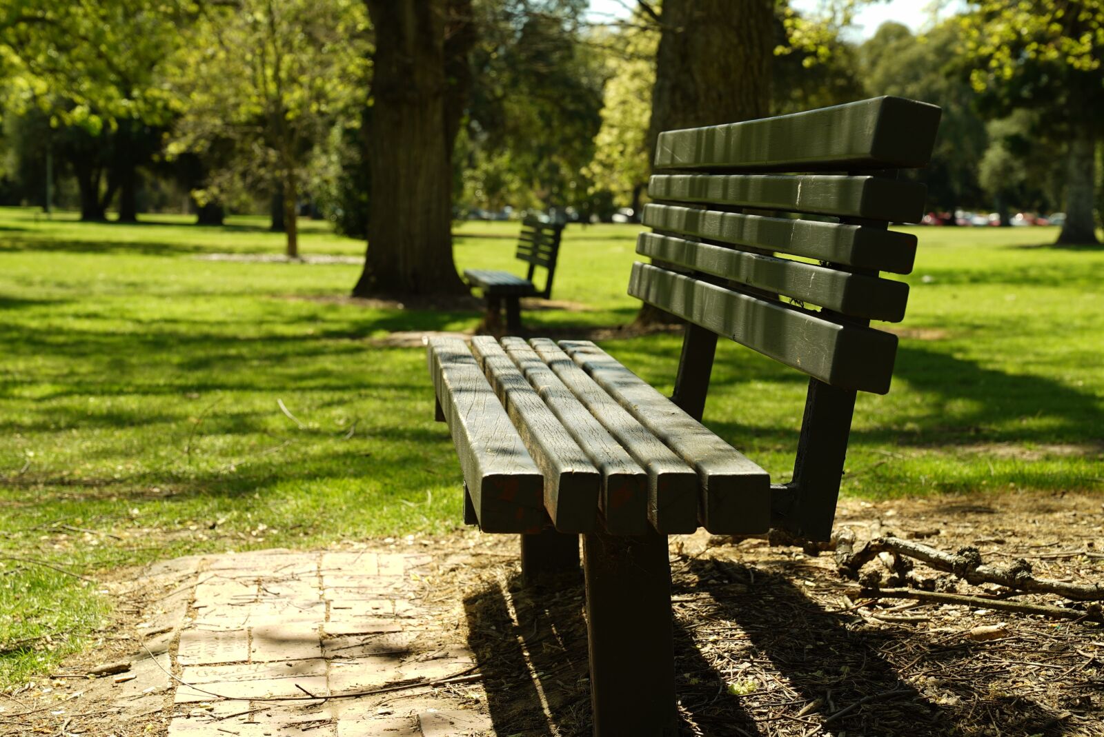 Sony a7S + Sony FE 24-70mm F2.8 GM sample photo. Park, bench, relax photography