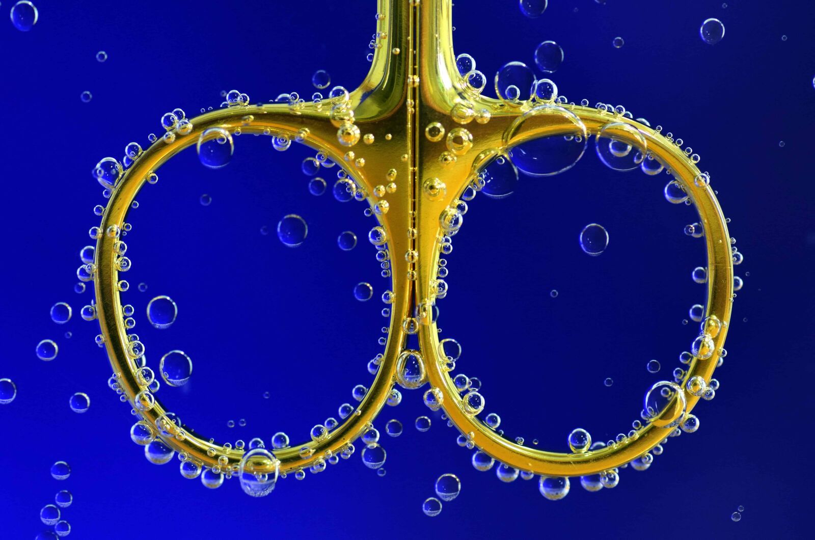 Nikon D3300 sample photo. Macro, scissors, gold, liquid photography