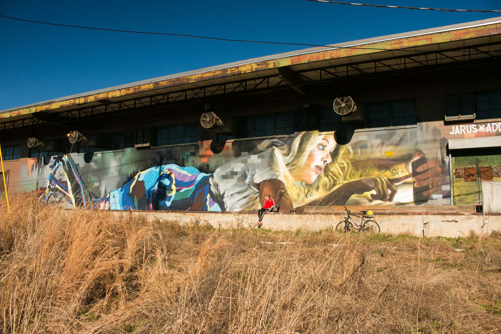 Canon EOS 70D sample photo. Urban art, mural, public photography