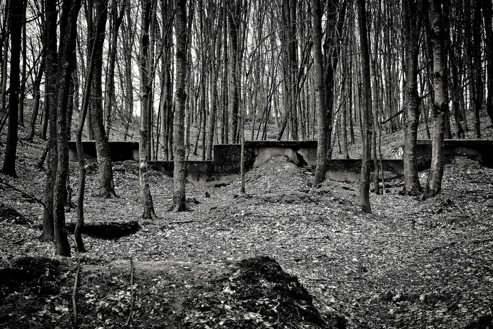 Olympus OM-D E-M10 sample photo. Lost places, bunker, war photography
