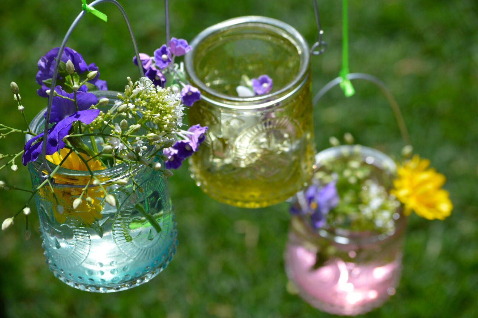 Nikon D3200 sample photo. Flowers, vases, colorful photography
