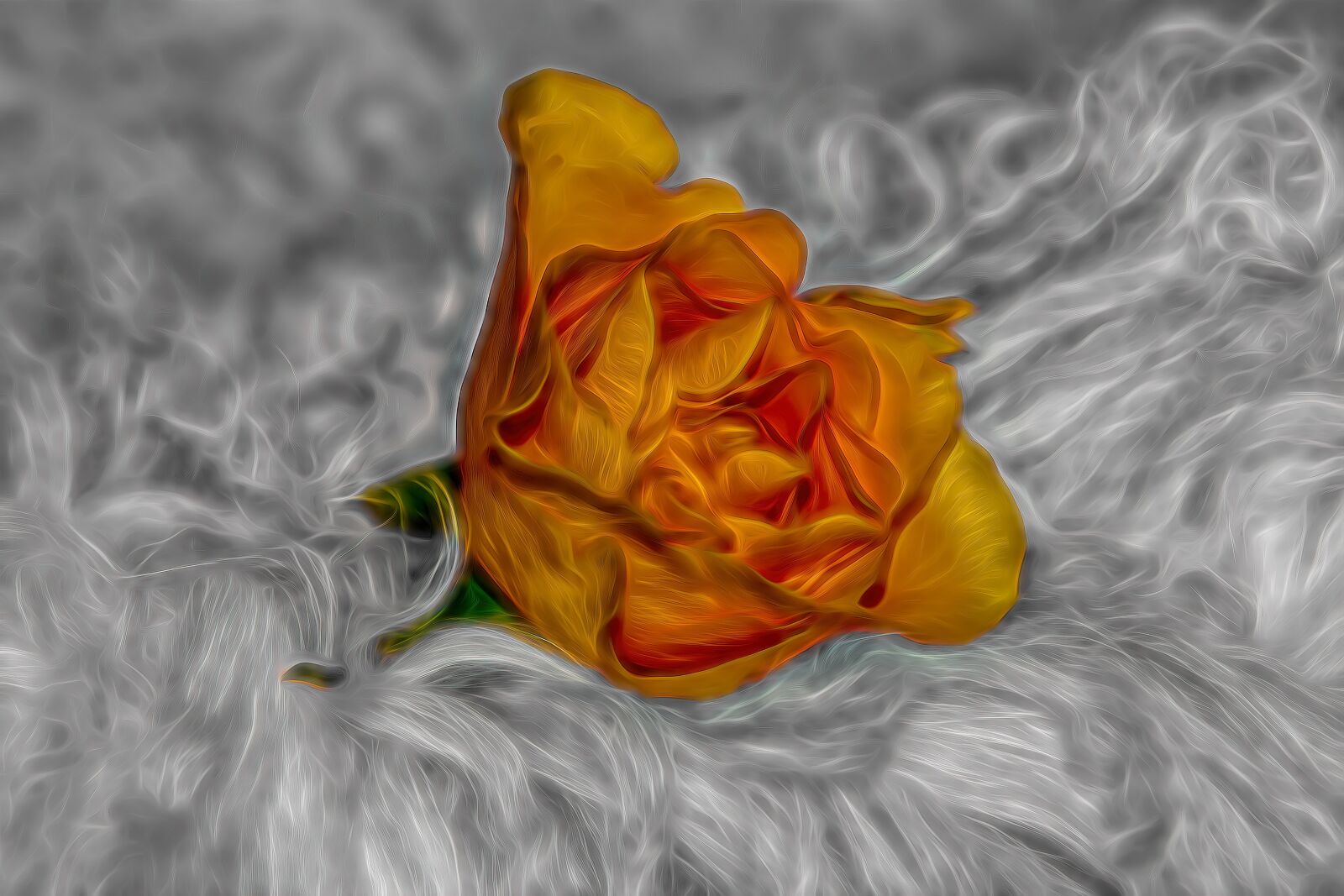 Nikon D7100 sample photo. Flower, nature, blossom photography