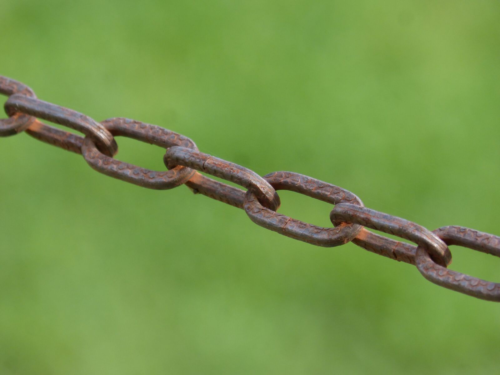 Panasonic DMC-FZ62 sample photo. String, chain, tie photography