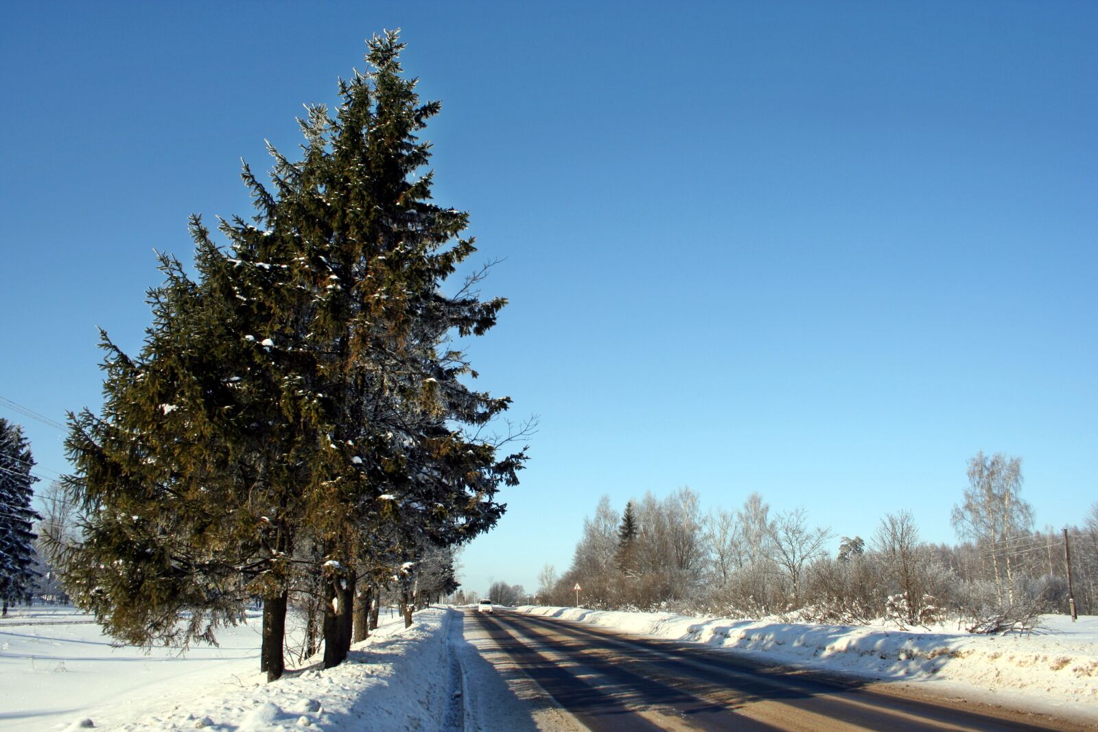 Canon EOS 350D (EOS Digital Rebel XT / EOS Kiss Digital N) sample photo. Russian winter, winter, zimushka photography
