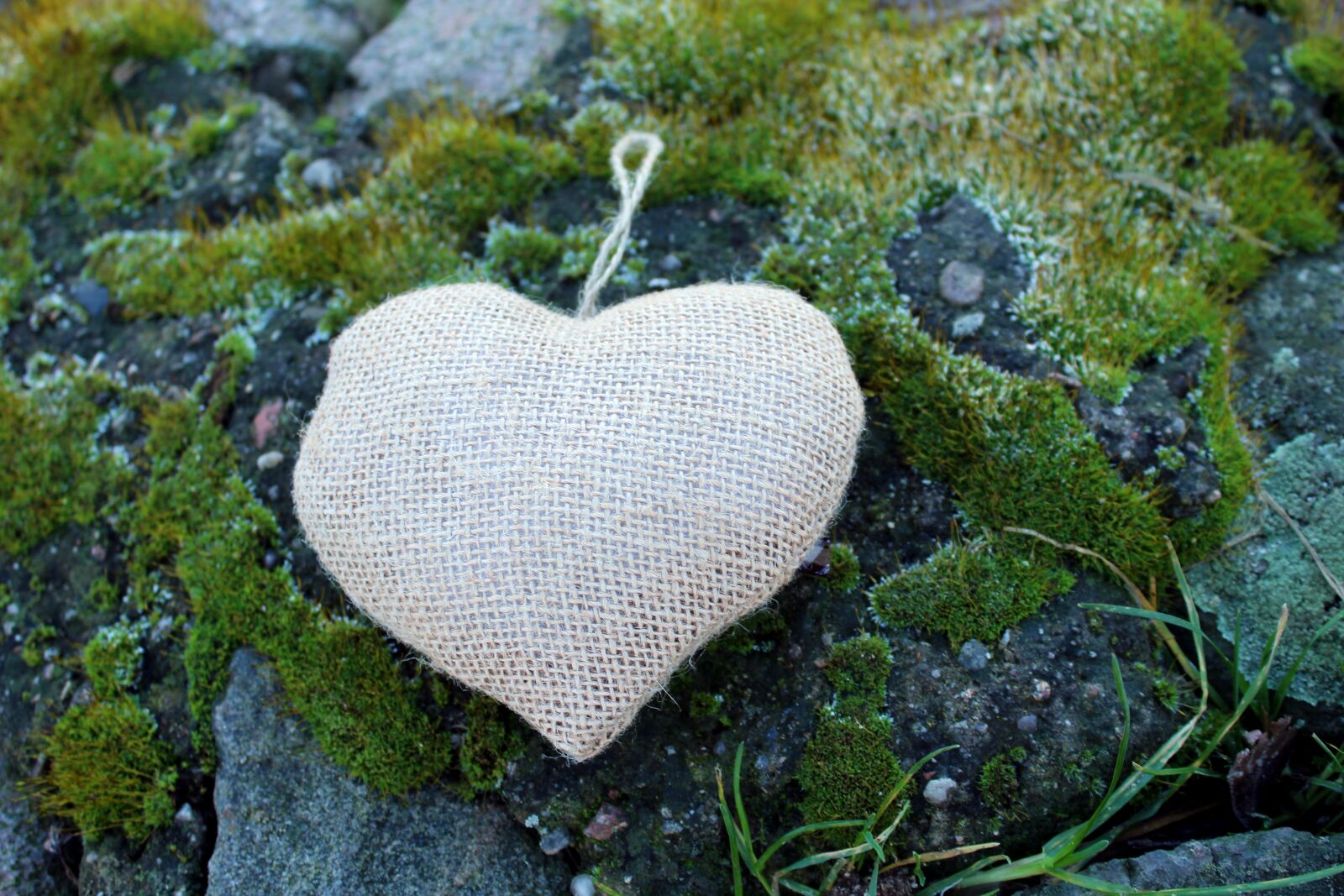 Canon EOS 1200D (EOS Rebel T5 / EOS Kiss X70 / EOS Hi) sample photo. Heart, nature, stone photography