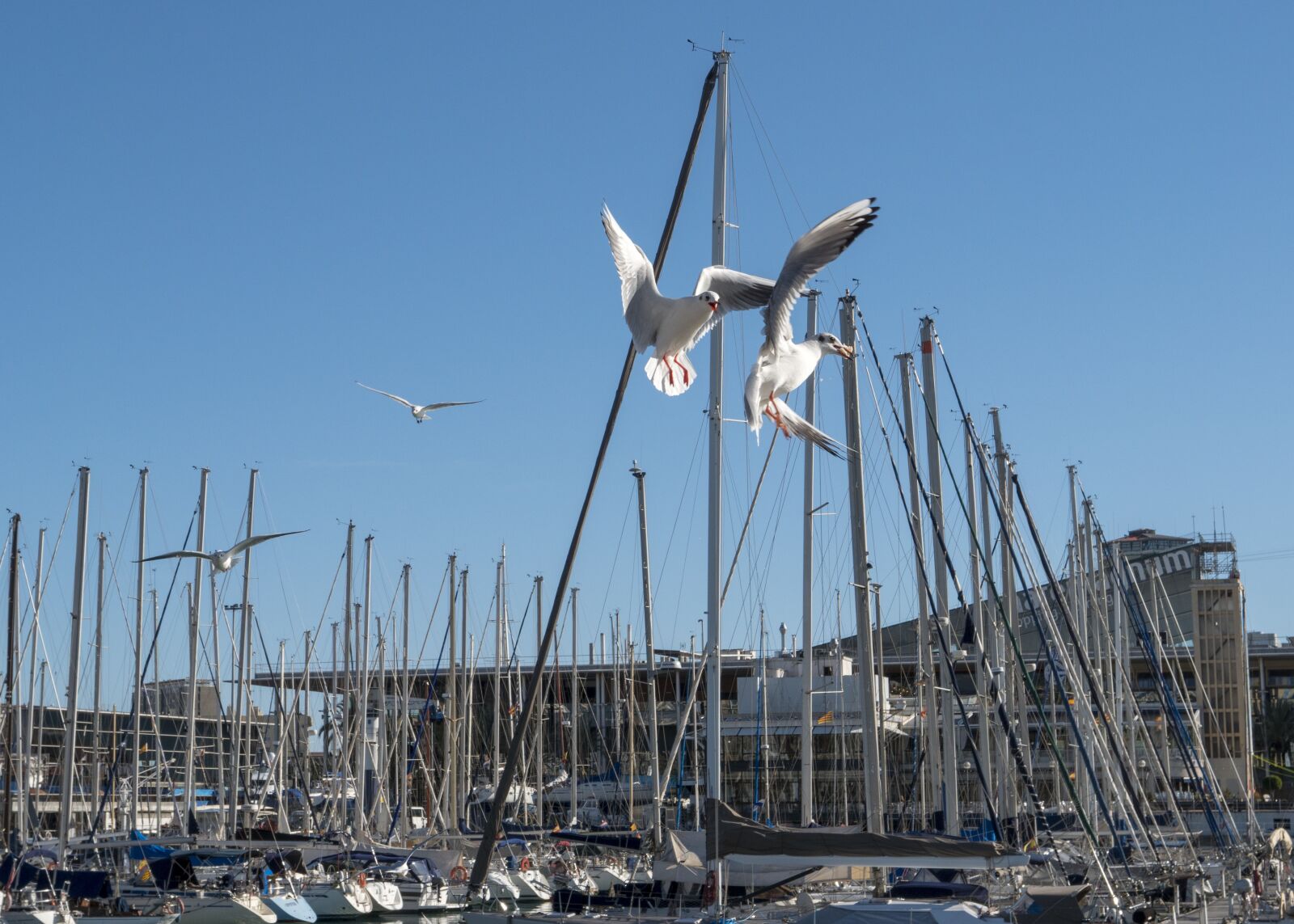 LEICA DG 12-60/F2.8-4.0 sample photo. Wind, sky, water photography