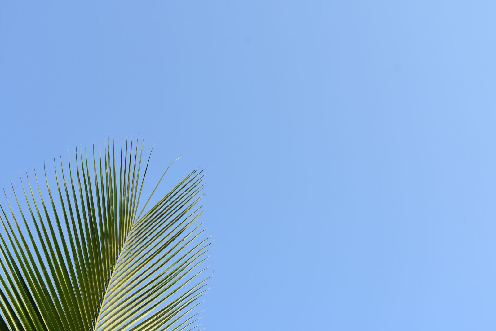 Nikon D3400 sample photo. Nature, outdoors, sky photography