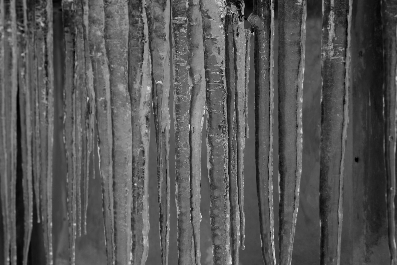 Canon EF-S 60mm F2.8 Macro USM sample photo. Ice, icicles, cold photography