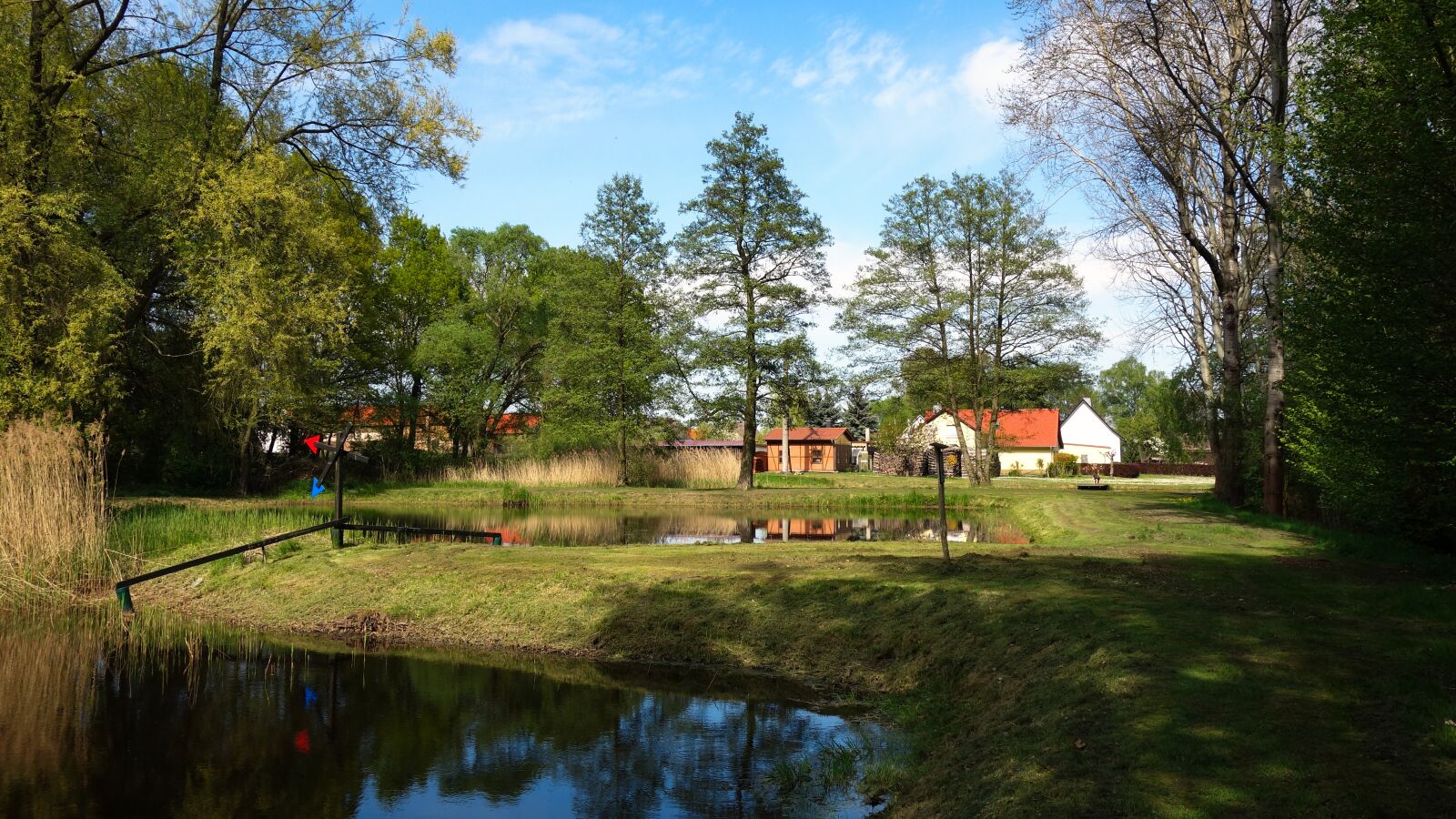 Sony Cyber-shot DSC-RX100 sample photo. Pond, water, nature photography