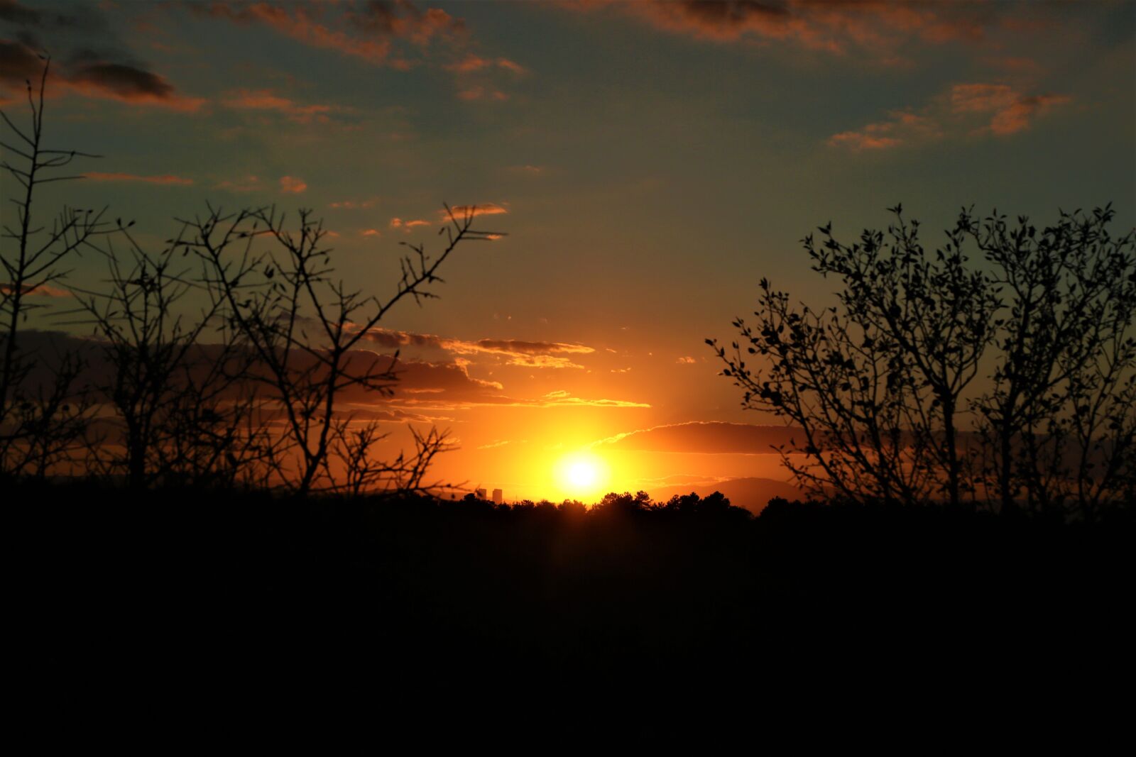 Canon EF 24-105mm F4L IS USM sample photo. Sunset, trees, silhouette photography