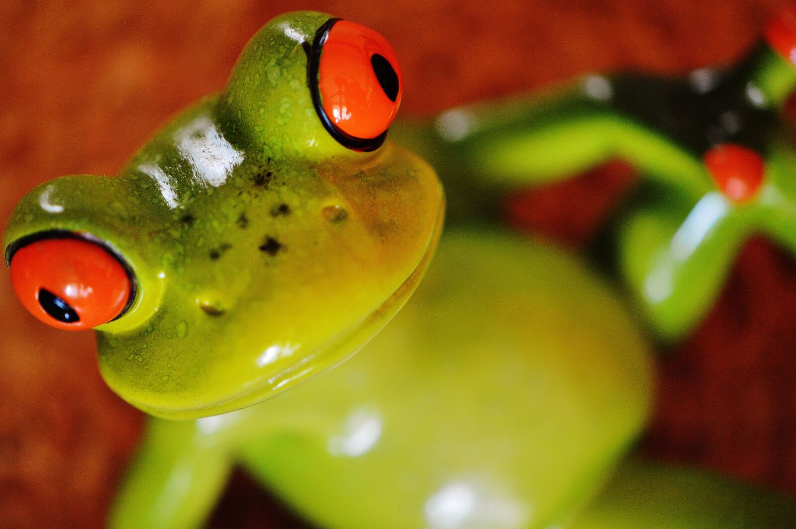 Nikon D3200 sample photo. Frog, funny, figure photography