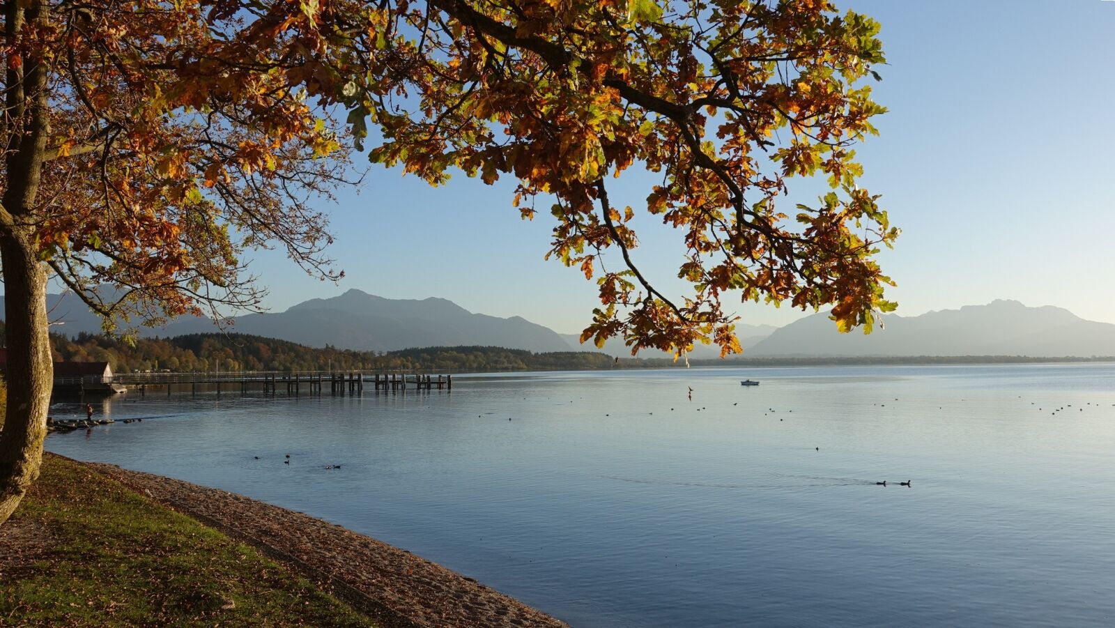 Sony Cyber-shot DSC-RX100 IV sample photo. Autumn mood, lake, chiemsee photography
