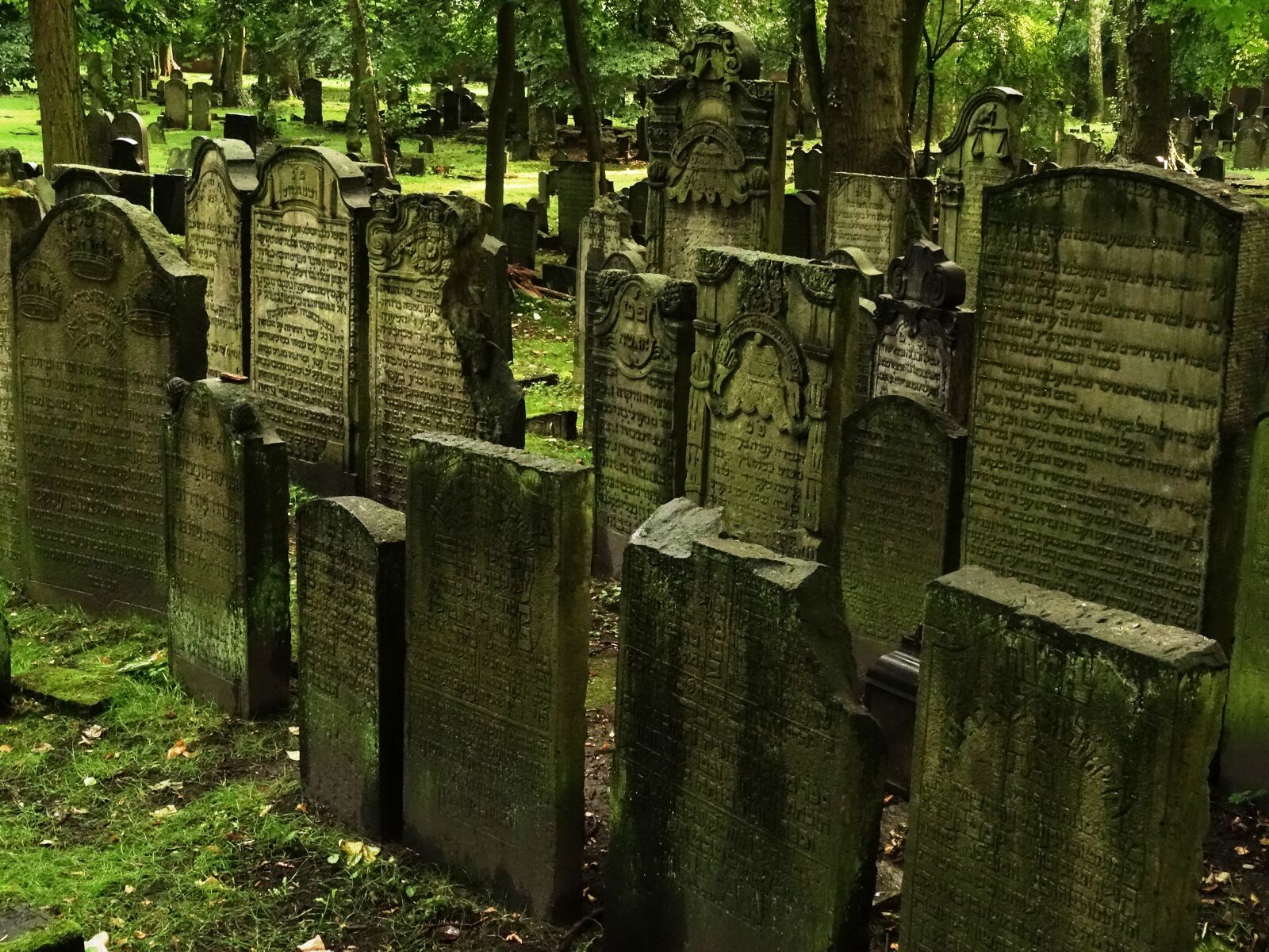 Sony Cyber-shot DSC-HX50V sample photo. Cemetery, jewish, jewish cemetery photography