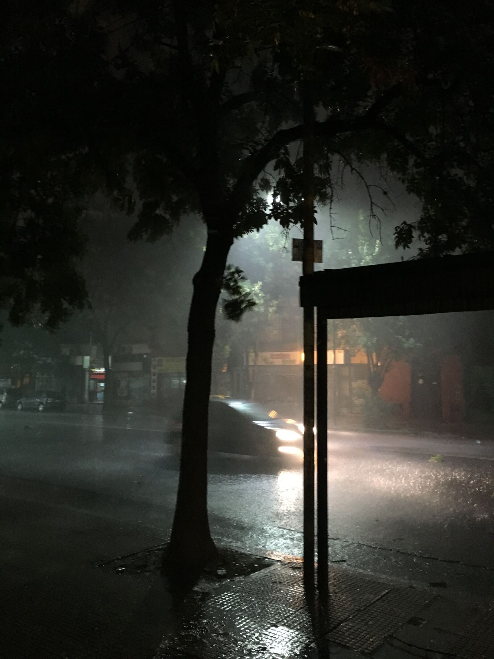 iPhone 6s back camera 4.15mm f/2.2 sample photo. Night, rain, city photography